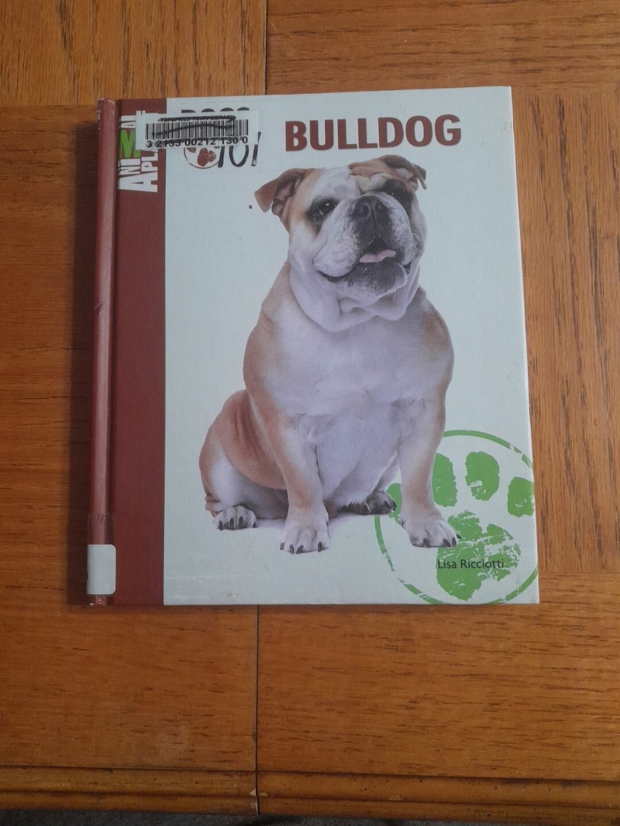 Dogs 101 English Bulldog Dogs 101 English Bulldog Training English