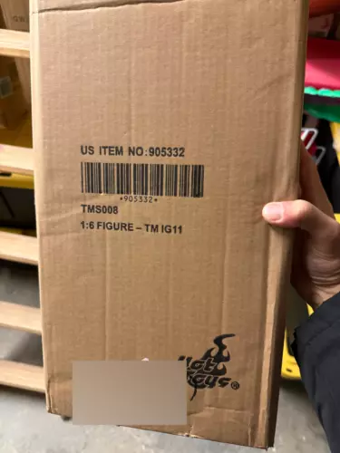 Hot Toys Star Wars: The Mandalorian IG-11 TMS008 1:6th Scale New/Sealed