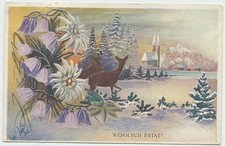Merry Christmas Polish Deer Church Flowers Evergreen Antique Postcard 