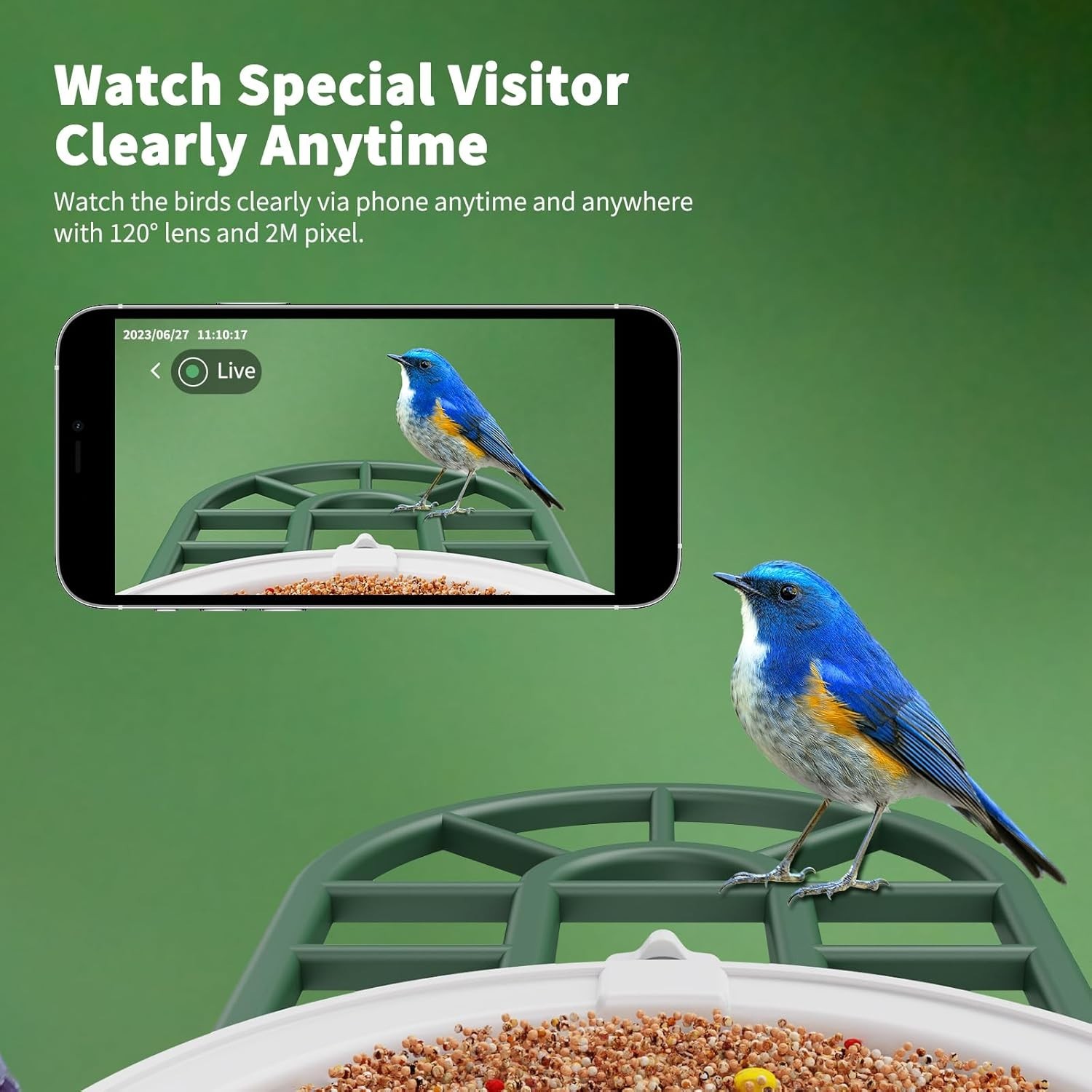 Advanced AI Bird Feeder Camera with Instant Notifications