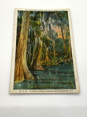 Florida Cypress Gardens-Winter Haven, FL antique unposted postcard