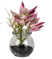 Tischdeko Distelzweig Pink In Glasvase H. 16Cm Formano Kunstblumen F25
