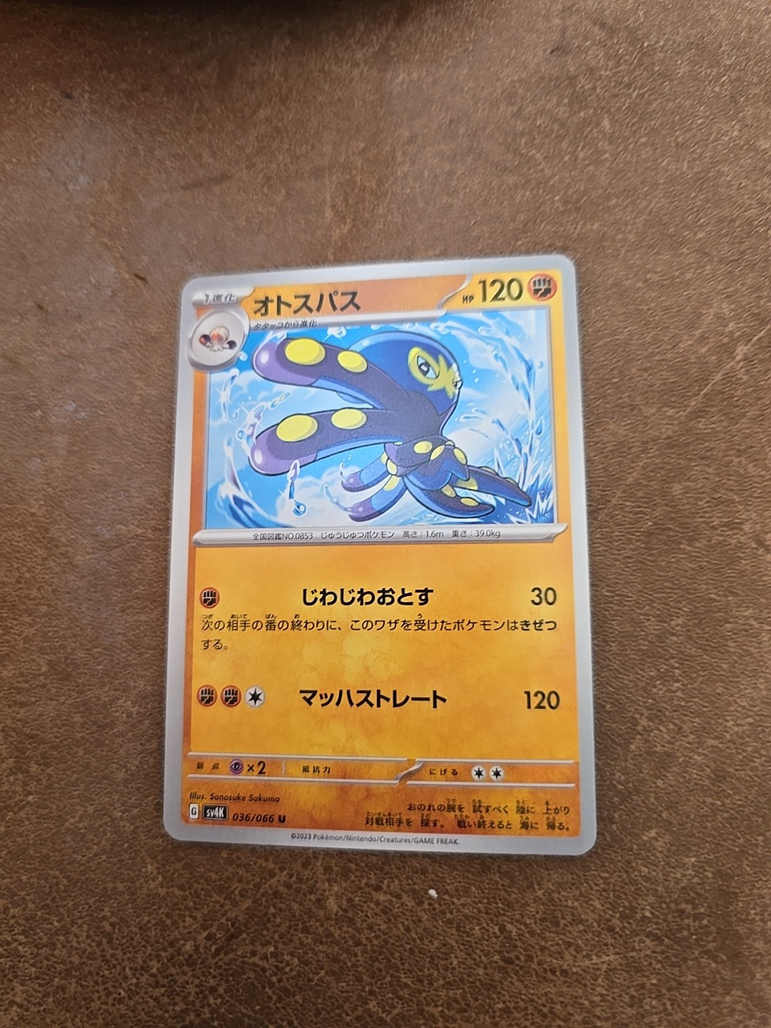 Kyogre 007/028 S8a 25th Anniversary Collection - Pokemon Card
