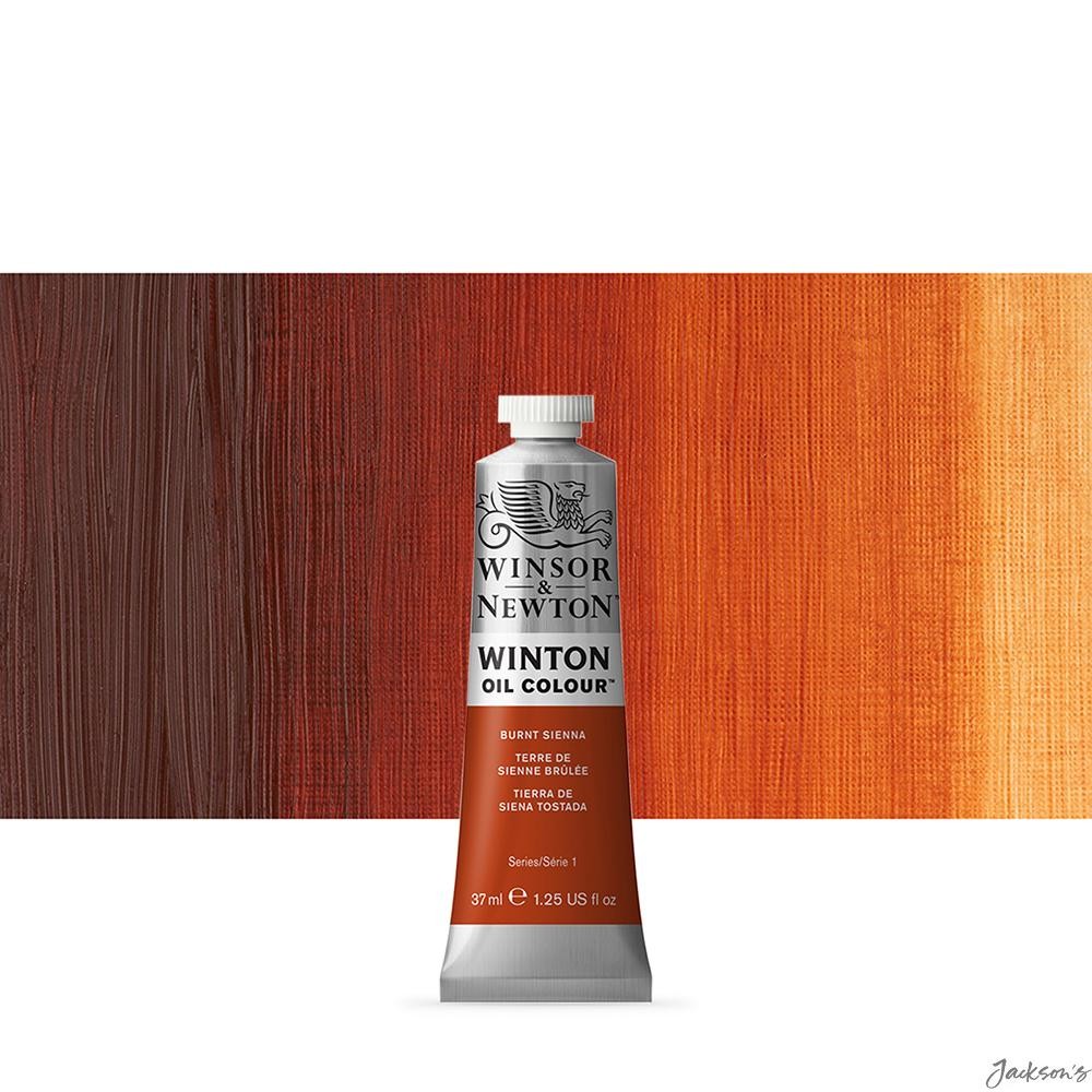 Winsor & Newton Winton Oil Paint 37ml Burnt Sienna For Artist Painting