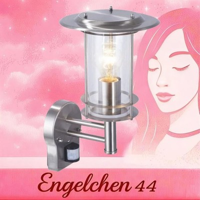 Outdoor Außen Wandleuchte York Edelstahl Bewegungsmelder Leuchte Lampe Brilliant