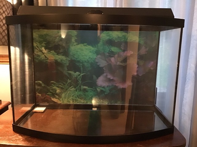 aquarium for sale