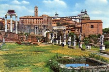 10270 Cartolina Roma (RM) Foro Romano 1967