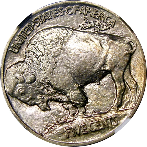 1913 5C NGC MS65 TYPE 1 BUFFALO "MINT ERROR" ~ EXCEPTIONAL PQ GEM!