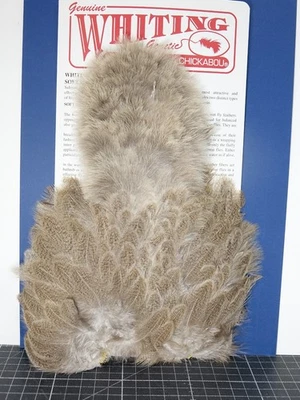 Whiting Brahma Hen Softhackle & Chickabou natural mottled gray WILD TYPE