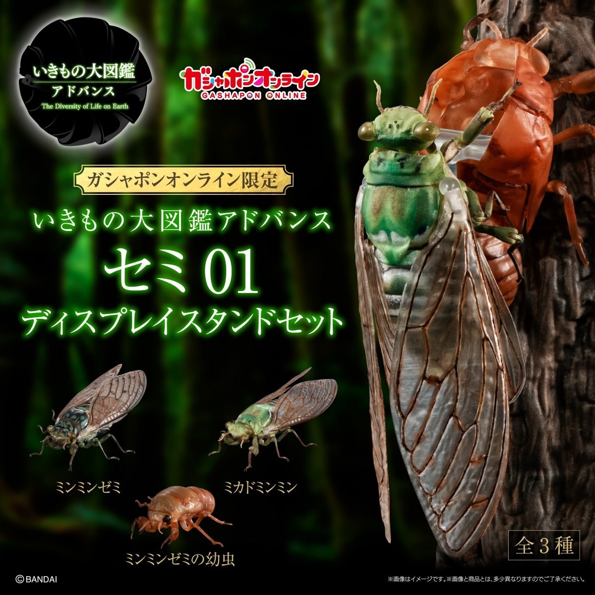 The Diversity of Life on Earth Advance Cicada 01 Fig. w/ Tree Type