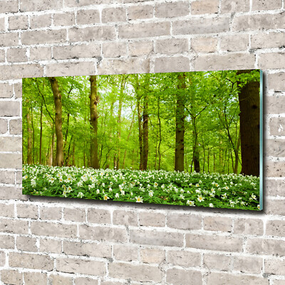 Wandbild aus Plexiglas  Druck auf Acryl 140x70 Landschaften Blumen im Wald