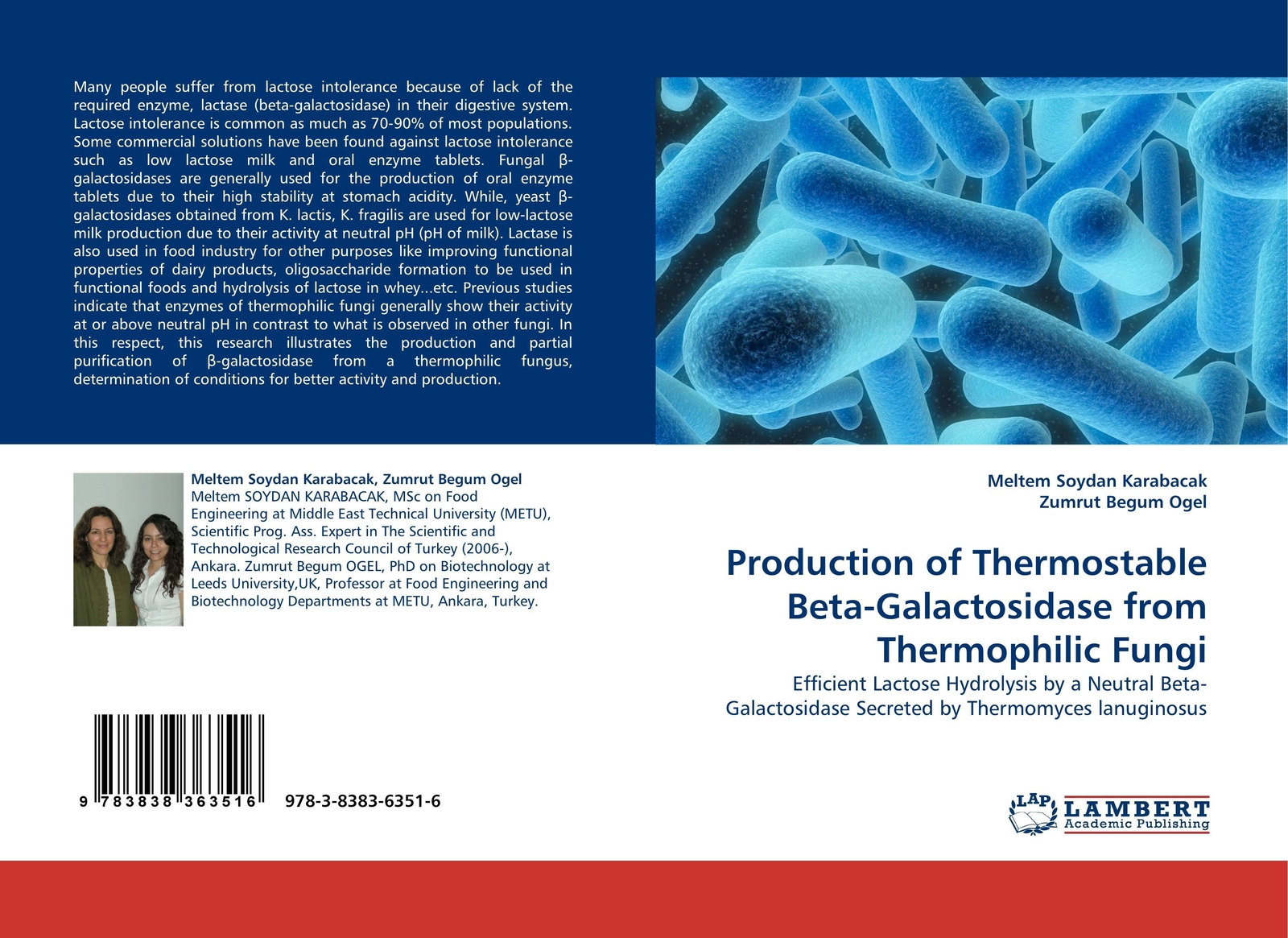 Thumbnail - Meltem Soydan Karabacak (u. A.) | Production Of Thermostable...
