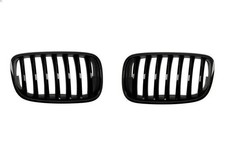 Kühlergitter BLIC 6502-07-0096990P für BMW X5 (E70) 3 2007-2012