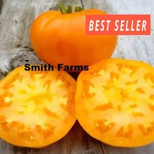 50 Seeds Orange Heirloom Tomato Easy to Grow Vegetable Garden Planting