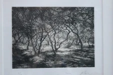 EUROPEAN ETCHING, A WELTER OF BRANCHES