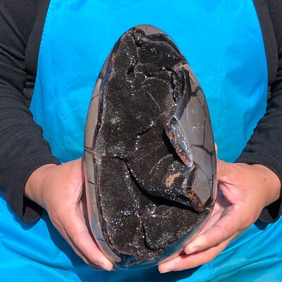 3940g Natural Dragon Septarian egg Quartz Crystal decoration