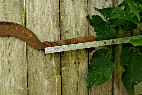 SCHEUNENFRISCH CA. 1930er HOLZGRIFF SICHEL SKYTHE OLD TIMEY WERKZEUG GARTENHAUS ROST - Bild 4 von 14