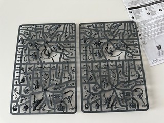 Warhammer 40k Necromunda House Escher gang