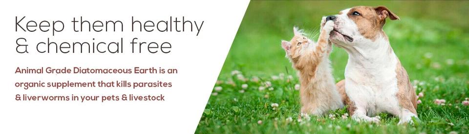 Animal Grade Diatomaceous Earth - Image 3 of 4