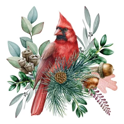 EUROPEAN EXCELLENCY Decoupage Art Craft Napkins-Cocktail Size 5"x5" Red Cardinal, Evergreen, Floral