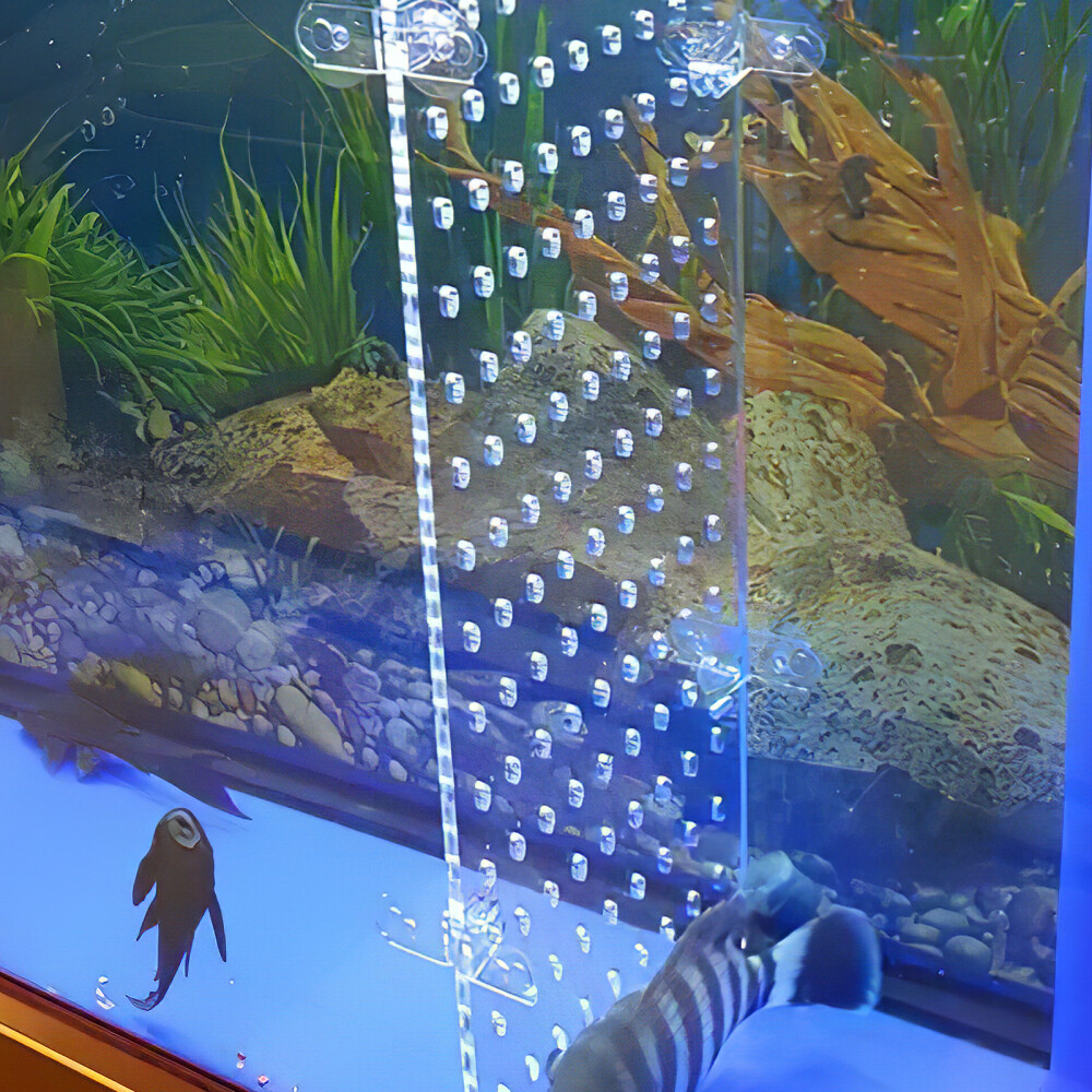 DIY Aquarium Divider for Betta Fish TankIQ eBay