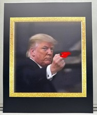 16" x 20" US President, Donald Trump Finger, Printed Sign