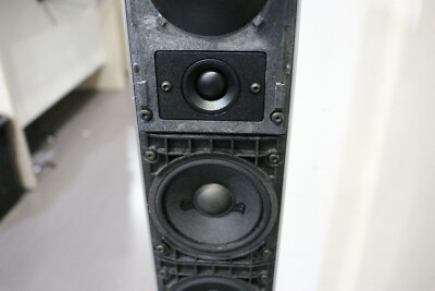 スピーカー・ウーファー bang & olufsen 6000 Bang & Olufsen BeoLab 6000 Active Powered Floorstanding Speakers