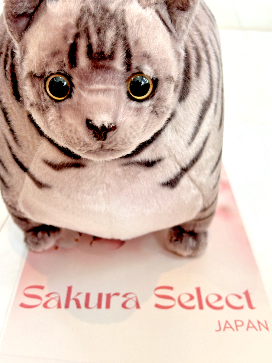 Fatty Zoo Silver Tabby Cat Stuffed Doll Plush Toy Kawaii 14