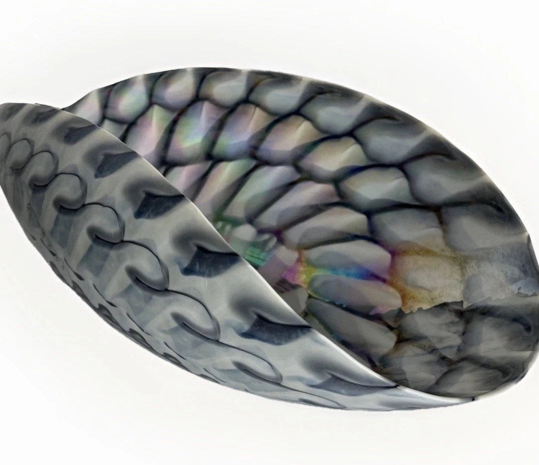 Murano Shell Bowl for sale | eBay