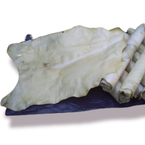 Goat Rawhide Skin. 2 units. Ideal for Lace, Lampshades & Drums. Genuine Leather - Picture 1 of 6