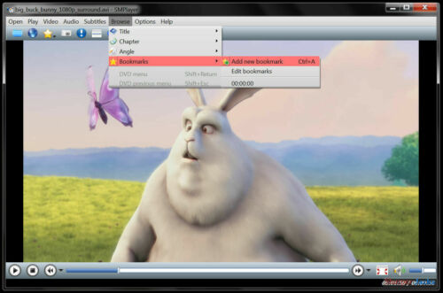 NEW & Fast Ship! SMPlayer Media Player - Any Video DVD / Music / Audio - Linux - Picture 7 of 12