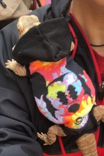 MICKEYMOUSE PRINTS 9 XLRG SLEEVELESS BODY HOODY SHIRT 4 UNISEX BEARDED DRAGON