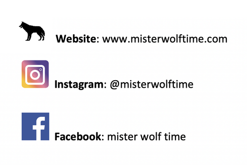 Vintage c1952 Omega Jumbo Calatrava Ref.2639-13 Tropical Watch Cal. 266 in Stahl - Bild 12 von 12