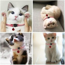Pet Cat Dog Reflective Collar, Nylon Night Safe Collars