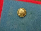CIVIL WAR C.S.A. CONFEDERATE Large Coat SIZE COAT BUTTON NON DUG