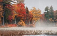 Landscape photography nature fall trees colorful mist Custom Gaming Mat Desk
