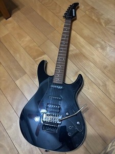 Fernandes Sustainer | eBay