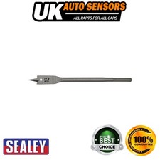 Image of Sealey Worksafe� Flat Wood Drill Bit 13mm x 152mm FWB13