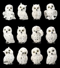 Figurki sowy śnieżnej - Uroczy zestaw 12 | Dekoracyjna figurka sowy biała do 5,5cm