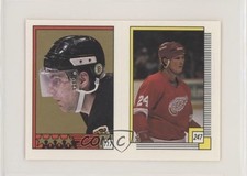 1988-89 O-Pee-Chee Album Stickers Ray Bourque Bob Probert #117-247 HOF 9ca