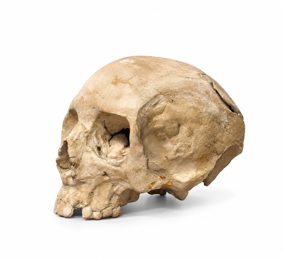 Antique Primitive Folk Art Plaster Skull | eBay