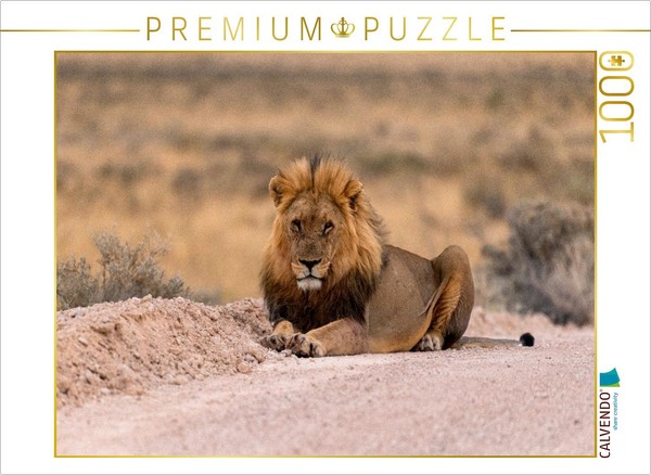 Calvendo Puzzle Majestic Lion | 1000 Pieces, Finished Size 25.2 × 18.9 In (64 ×-image