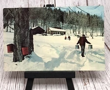 Maple Sugar Time Scenic Winter Landscape New Hampshire Vermont Postcard