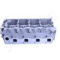 Zylinderkopf Ashika NS015S FüR Nissan Aluminium Navara NP300 D40 Cabstar F24M 3