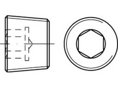 100 x Verschlussschrauben mit Innensechskant DIN 906 A 4 M 20 x 1,5 A 4, CAB FAS