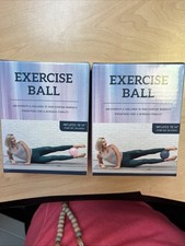 Pink/Blue Best Brands 2 Inflatable Exercise Yoga Fitness Balls Inflates to 14"