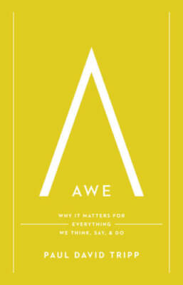 Awe: Why It Matters for Everything We Think, Say, and Do - Hardcover - GOOD