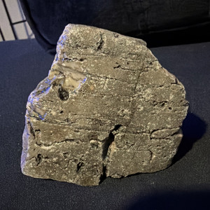 Fossil-ferrous Dolostone