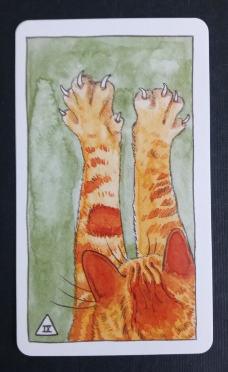 2019 Cat Tarot Card By Megan Lynn Kott 9 Of Swords | eBay
