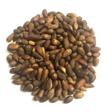 1 lb Nevada Soft Shell Pine Nuts - Premium Grade - Fresh - Raw - 2025 Season